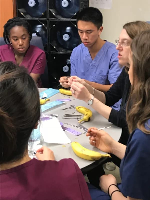 Gap Year Mentorship (formerly Bridge Year)
