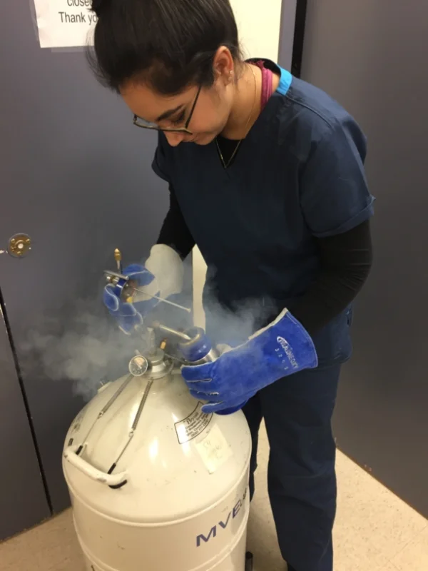 Gap Year Mentorship student safely handling liquid nitrogen